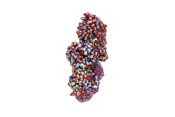8VEV image