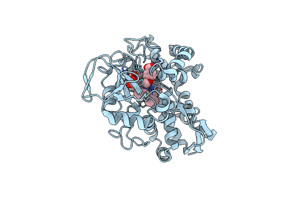 8VF0 image