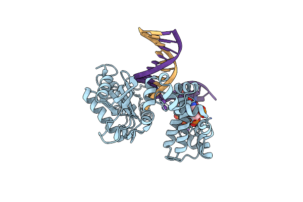 8VF9 image