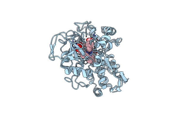 8VFP image
