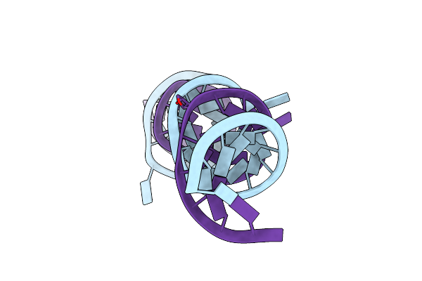 8VFS image