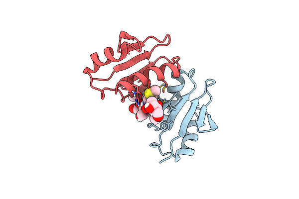 8VGD image