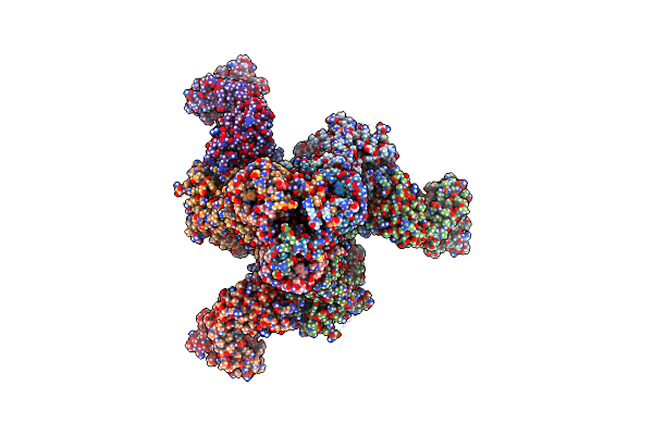 8VH2 image