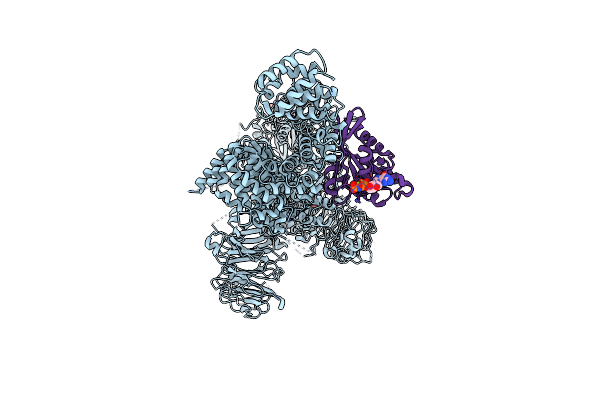 8VH4 image