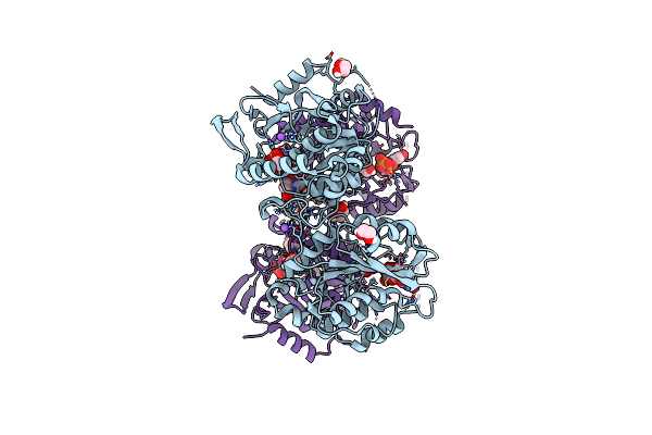 8VH7 image