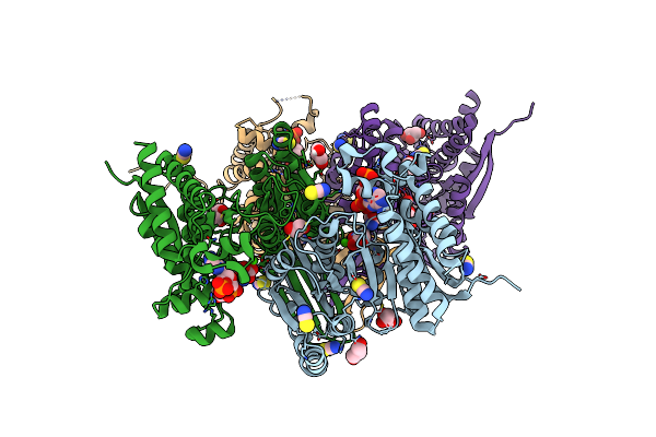 8VHB image