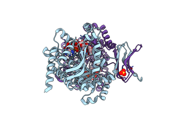 8VHC image