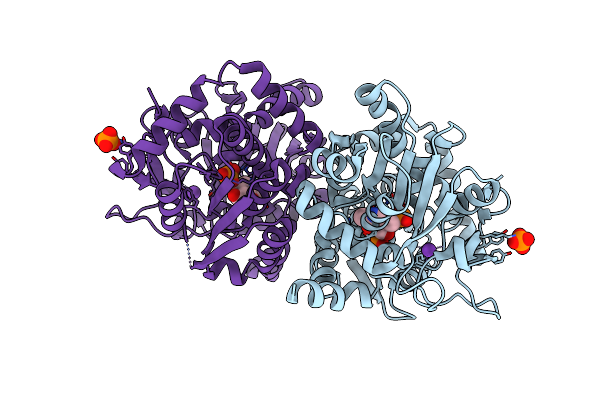 8VHH image