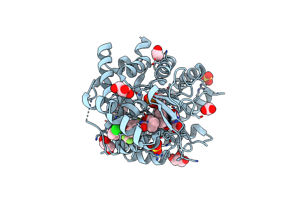 8VHL image
