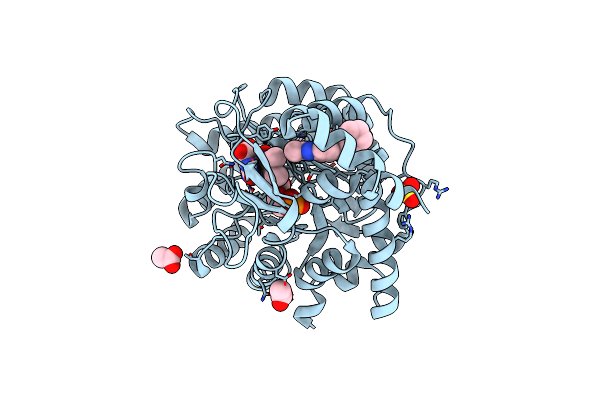8VHM image