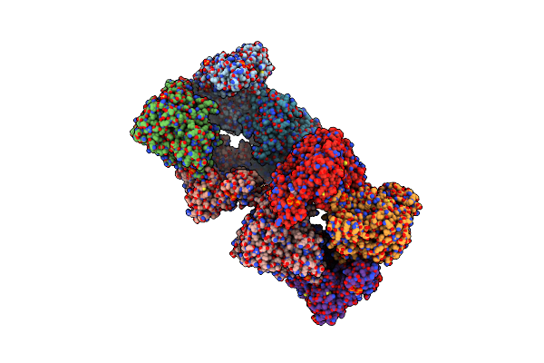 8VHP image