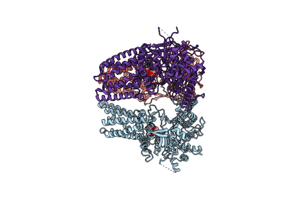 8VHT image