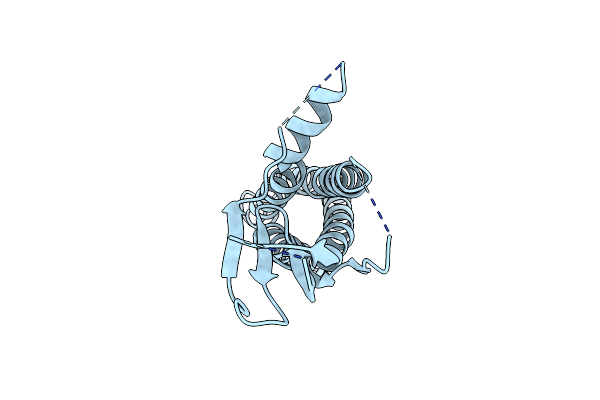 8VHV image