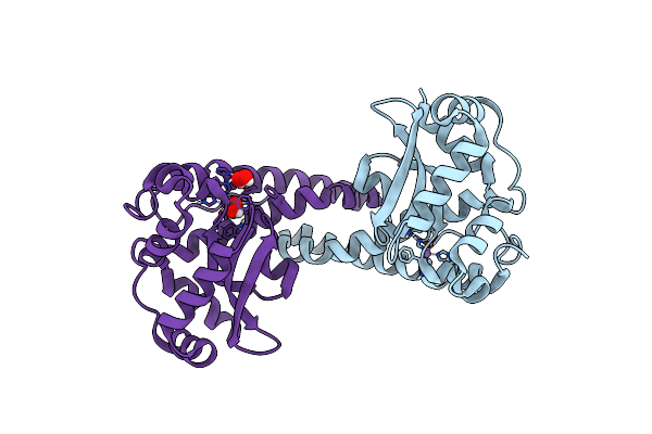 8VHW image