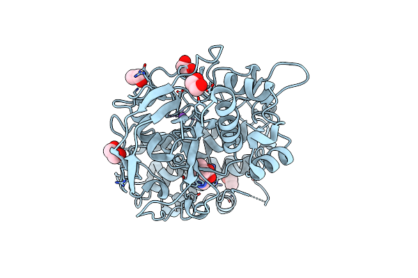 8VIG image