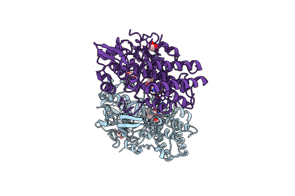 8VIH image