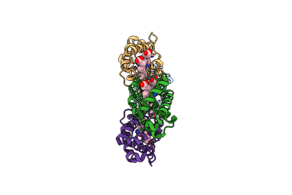 8VIJ image