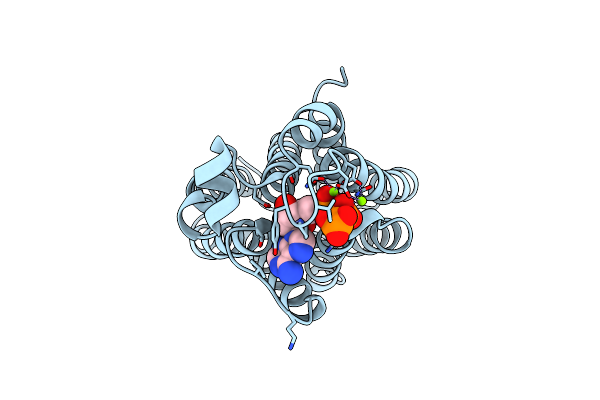 8VIQ image