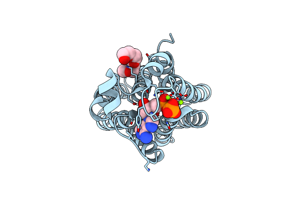 8VIT image