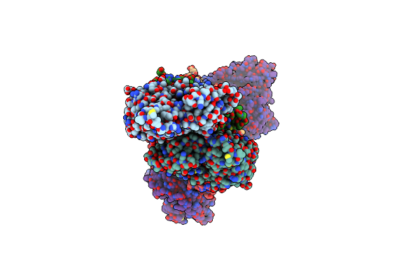 8VIZ image