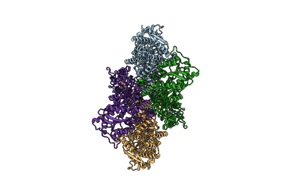 8VJ7 image