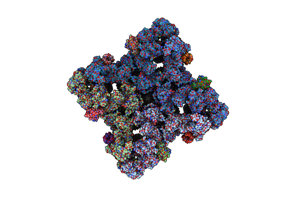 8VK4 image