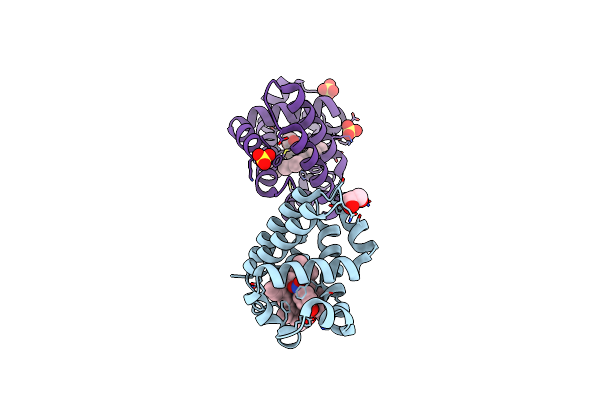 8VKC image