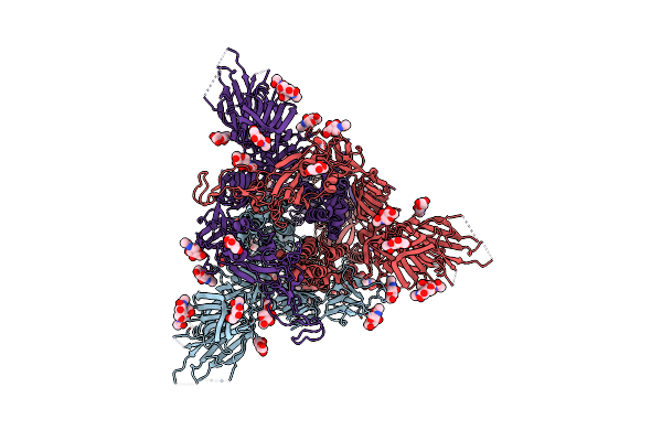 8VKK image