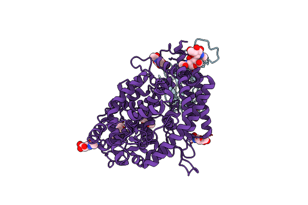 8VKP image
