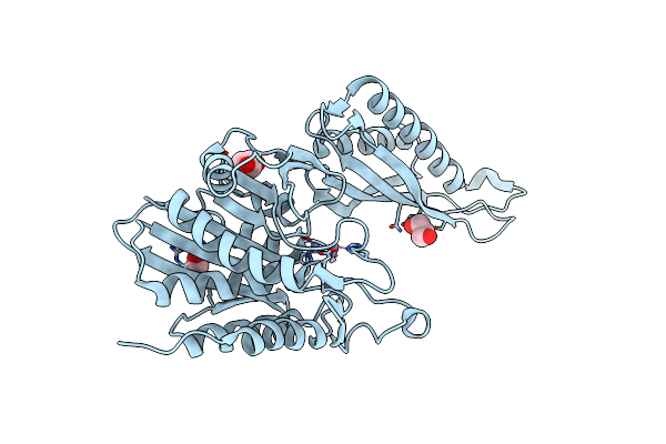 8VKT image