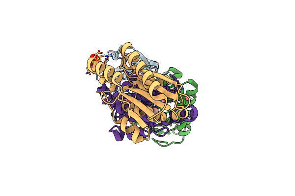 8VLK image