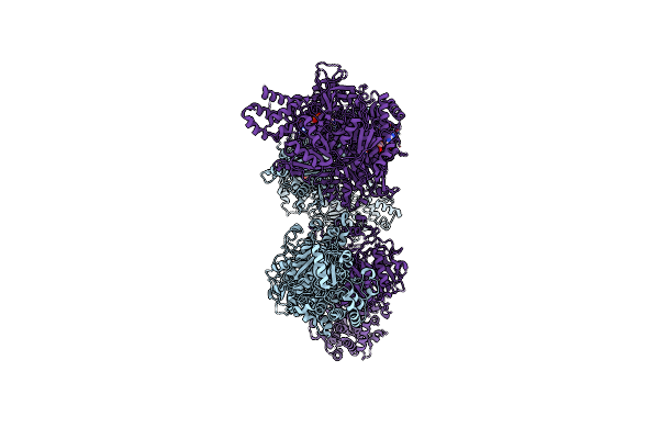 8VLO image