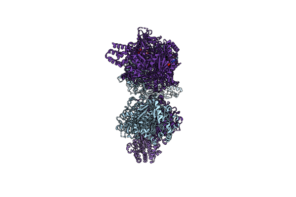 8VLP image
