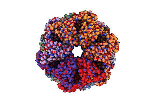 8VLS image
