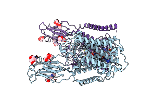 8VLU image