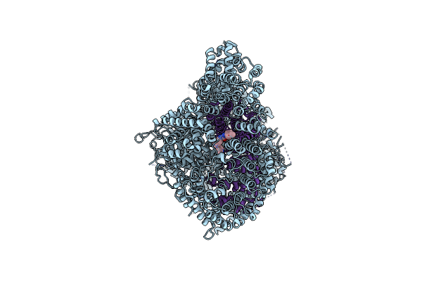 8VLX image