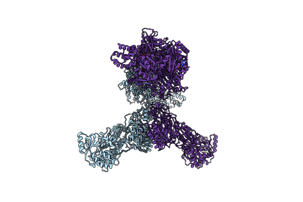 8VM5 image