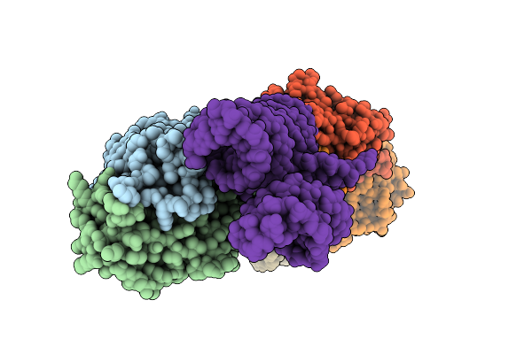 8VM9 image