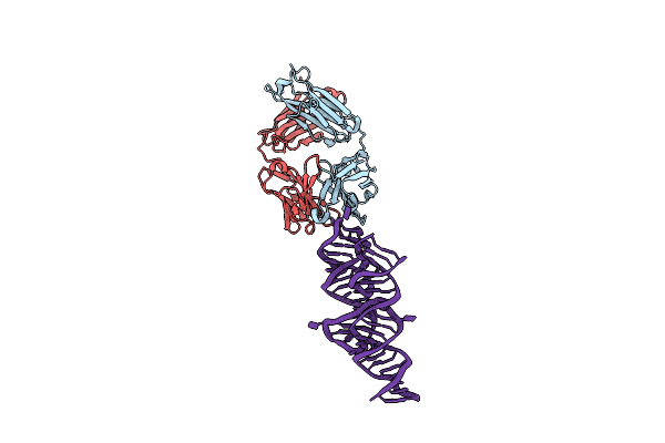 8VMB image