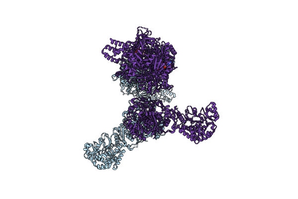 8VMC image