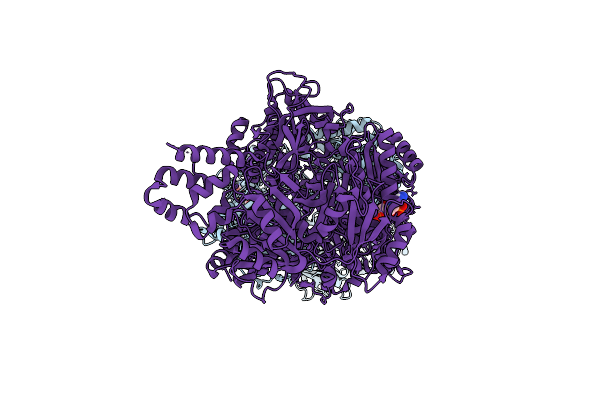 8VMD image