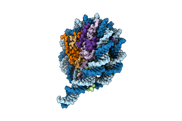 8VMJ image