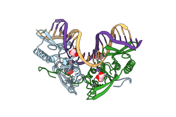 8VMO image