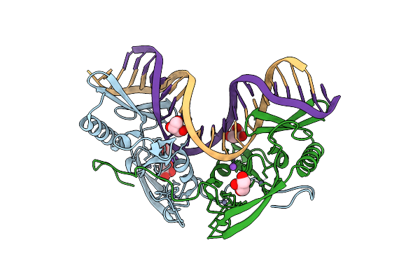8VMT image