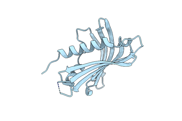 8VO2 image