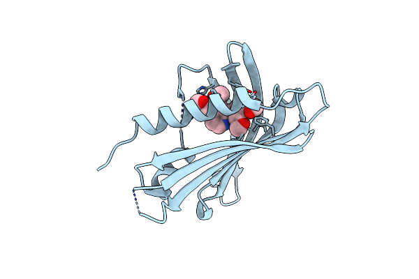 8VO3 image