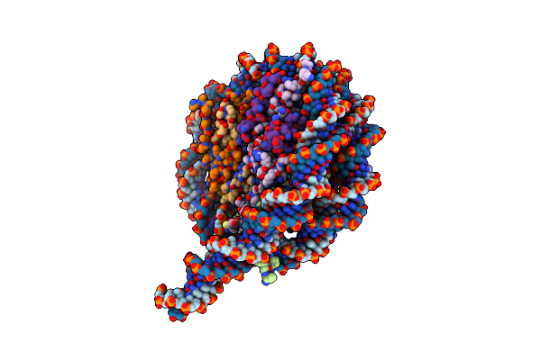 8VOB image