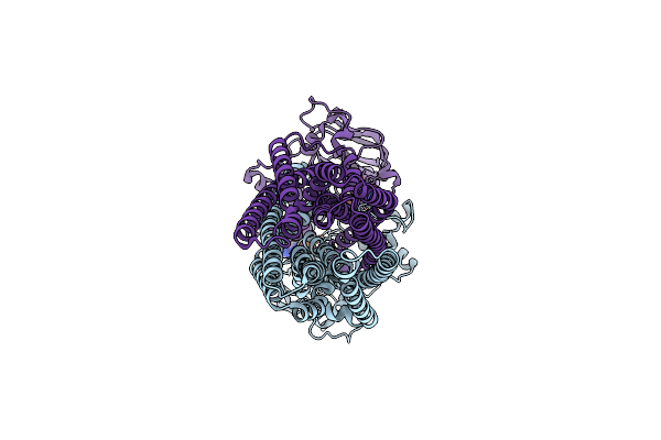8VOW image