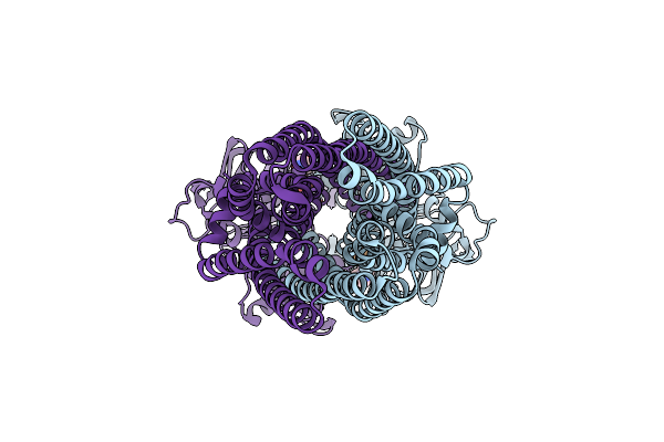 8VOX image