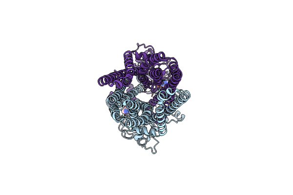 8VP1 image